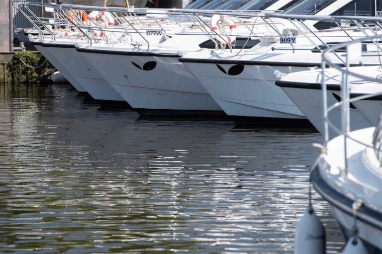 1 p1frvam8otu6e1c7115ho7fpug15 768x512