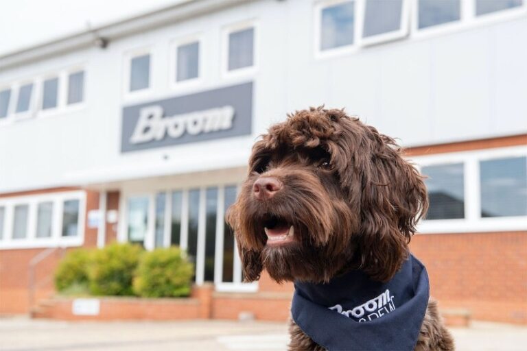 7 p1frvaoe9r3pi1dr4kqoae5m6pb 768x512