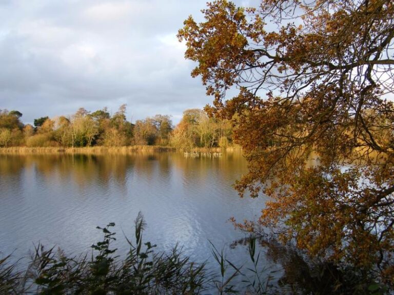 0 p19hicr9fbaib1ecqbhsu6n2c84 768x576