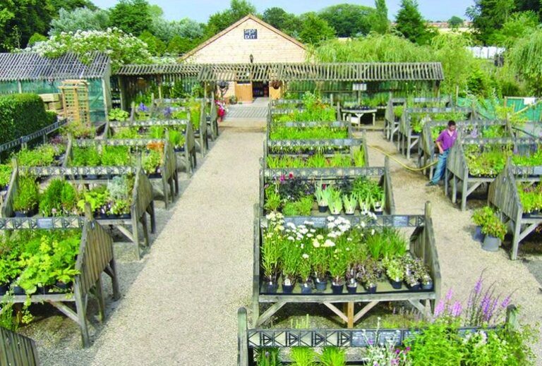 10 p1bu3tdp7iki8bl31hbik3r1aj5e 768x519