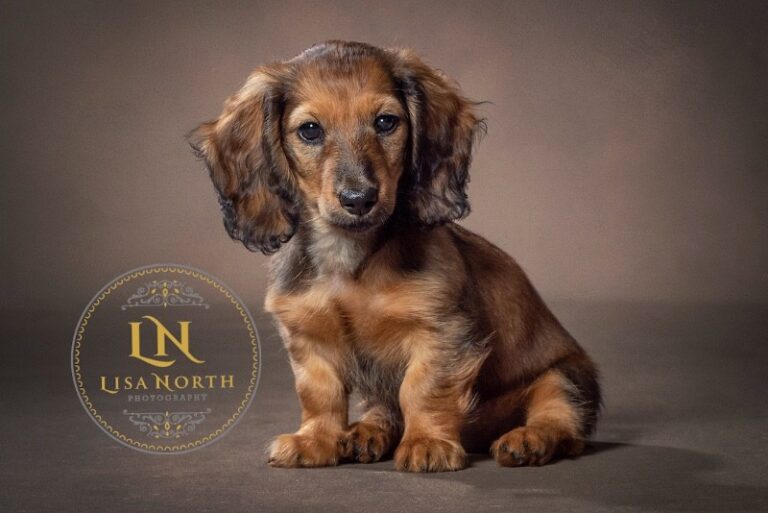 10 p1hltjjfvjsmcig6or6lcn2bc8 768x513