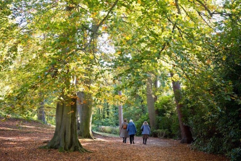 11 p1dv78ic5a1amqb3dffj17ka6o14 768x513