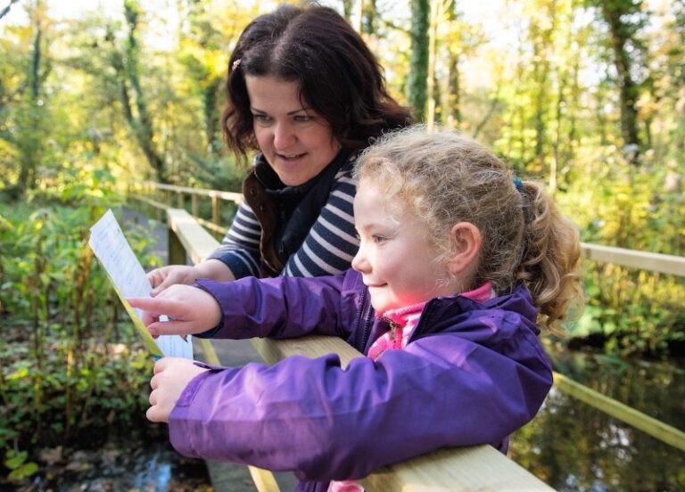 11 p1dv78nmo0uugpds1p1c16pm9ar6 768x552