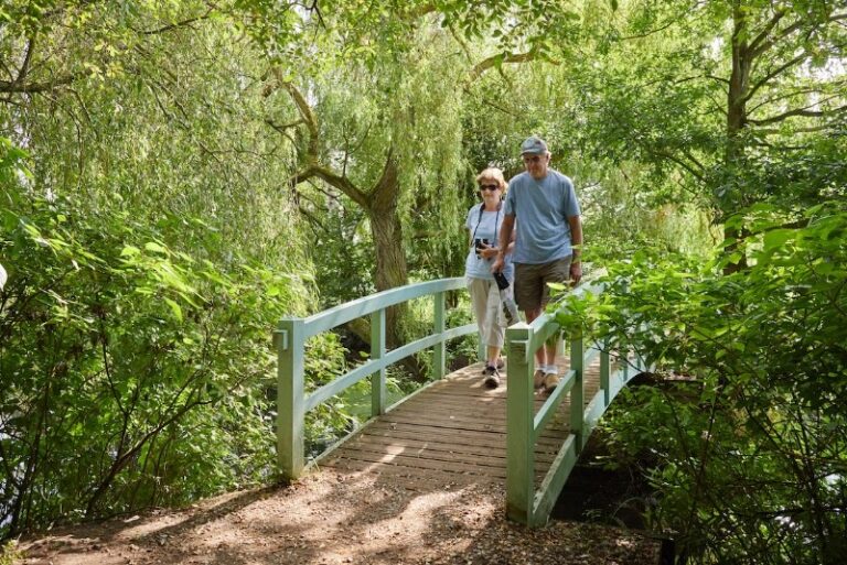 11 p1ga9ta6jl7391o3vaim1jis1s3c7 768x513