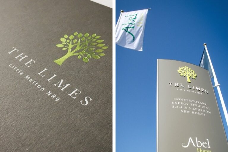 11 p1hltk5rs61h3ut3q5v1cdkpdc9 768x513