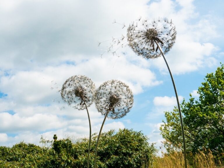 12 p1ga9tadthp3efse1rfu83g19oi8 768x576