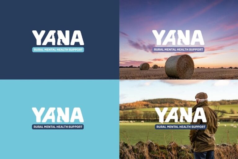 12 p1hltk5tph1j8gig520tjlq1olja 768x513