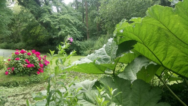 13 p1bn112mmm1vt4ffs1i9iv4a1ia89 768x432