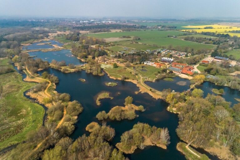 13 p1hltltjen1vpe3oj1liij9gdu5 768x512