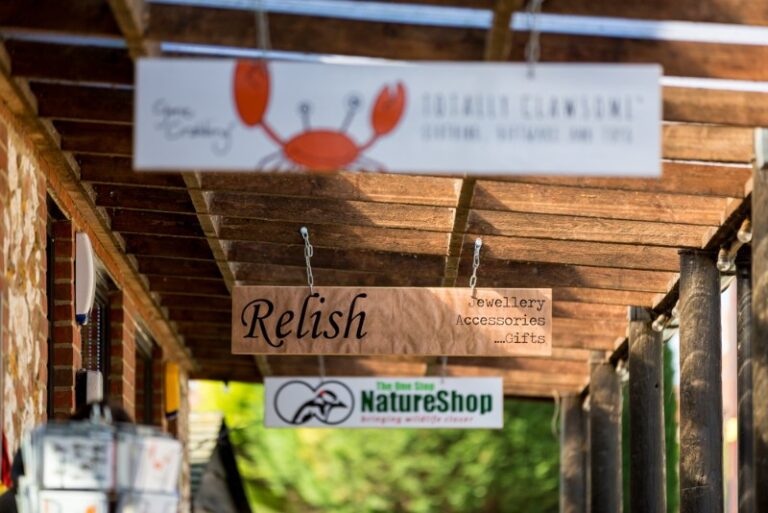 14 p1a9f49rpe58v1eca618g6j1kmiu 768x513