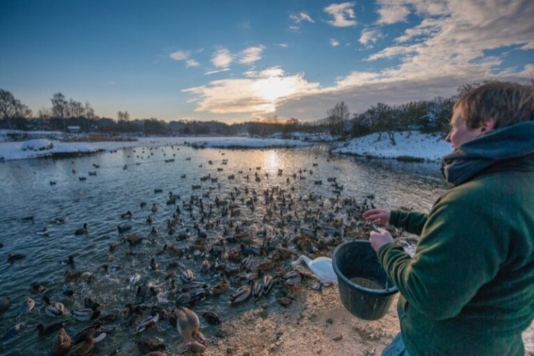 14 p1ga4d02k917p81v9e1qvqagr1gmv5 768x512