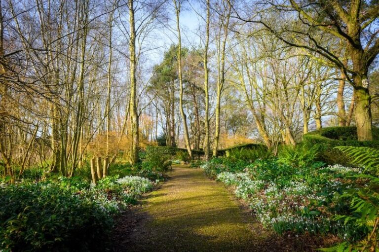 14 p1ga9tpnf1135v1q4k1g5v1n9s3nm4 768x511