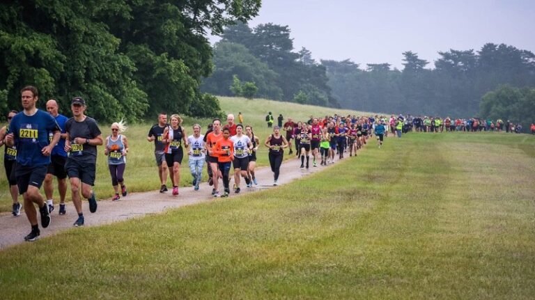 14 p1hltha2601o1pp7qnnfd4l14ug6 768x431