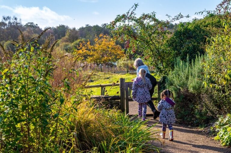 14 p1hltltlet107o7k6bg81p964dd6 768x511