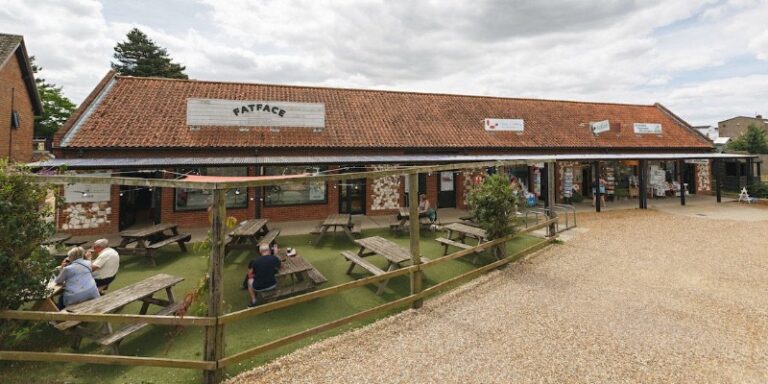 14 p1hltm3aho1qvoqnlr5u1ber1ooo5 768x384