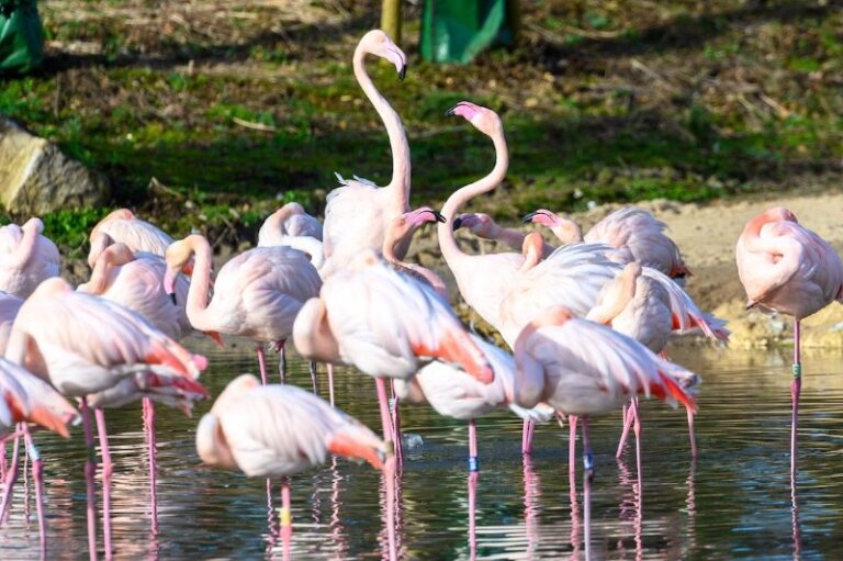 15 p1hltltn7klvkdf31ni2vh01iim7 768x511