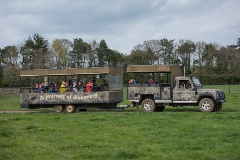 17 p1hltltr0noeo1g9n1tf31rdn1bdh9 768x513