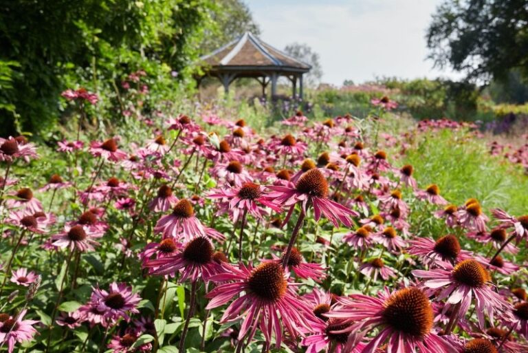 19 p1hltltv8qent1s2j3b71nbc1vd0b 768x513