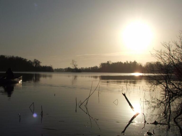 2 p19hicrkvo1m611r1lvml1vk12m06 768x576