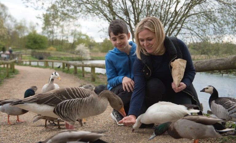 2 p1bm5750gc18ra1t3bmoebivo446 768x464