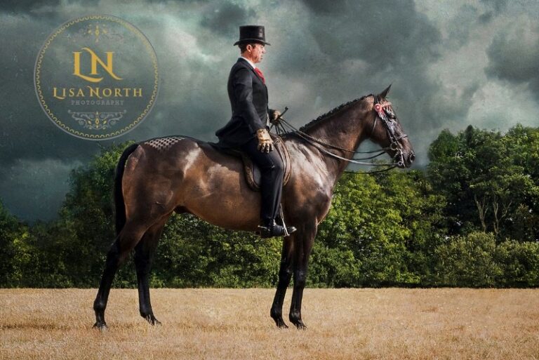 2 p1fjmbbvj31dq5131k159cr3h1v3n6 768x513