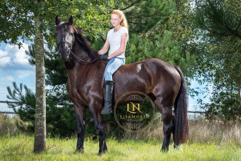 3 p1fjmbc8vj13ofp0211p11qqukq07 768x513