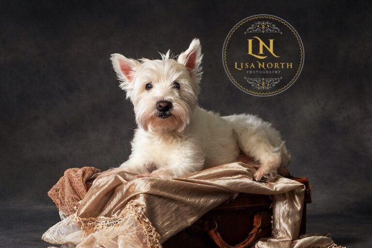 5 p1fjmbcq69t92dtt7urb19p7h9 768x513