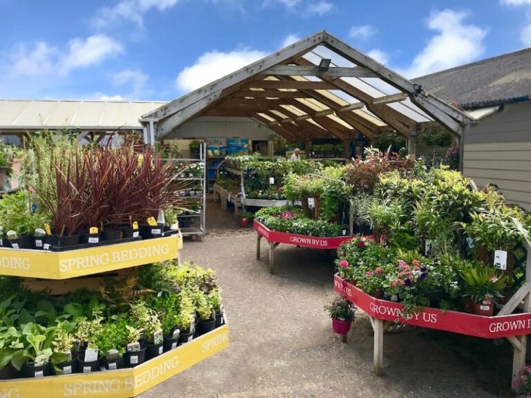 5 p1hltijl2osqu1kh7t2i1j4gis19 768x576