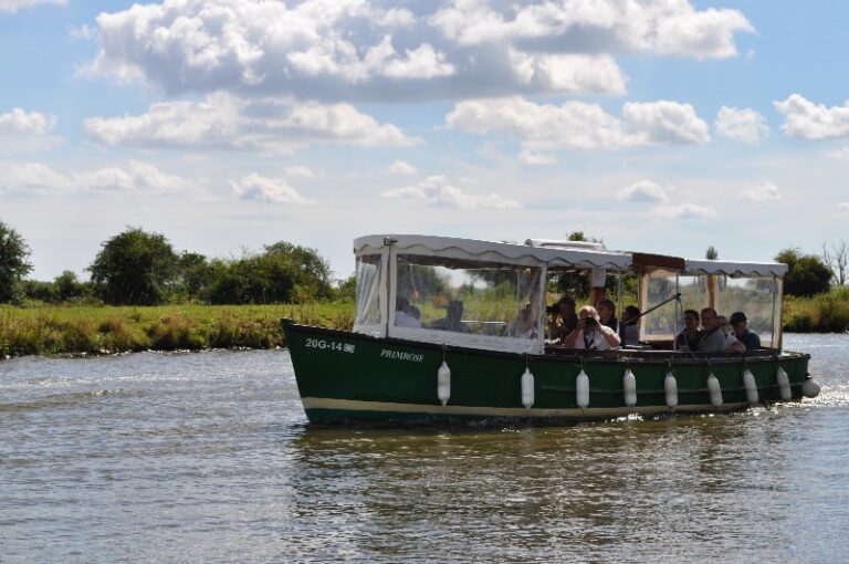 9 p1bn1119sj95h4m81m9qrm4p344 768x510