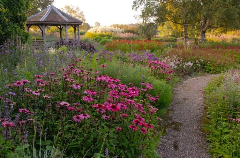 9 p1ga9t9psc9mod5nbjn153v11vu5 768x505