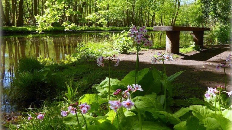 img fairhavennewpic1132 768x431