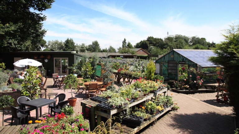 img woodgatenurserynewsitemain 768x431