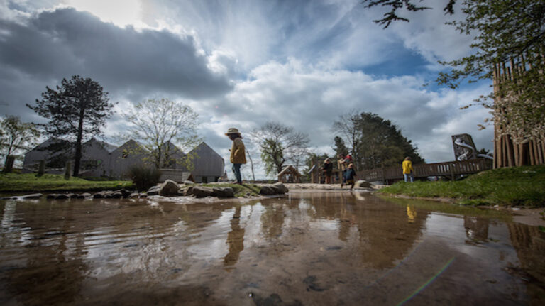 pensthorpemain1132 768x431