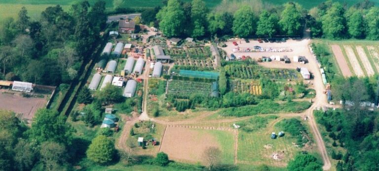 unnamed file 768x348