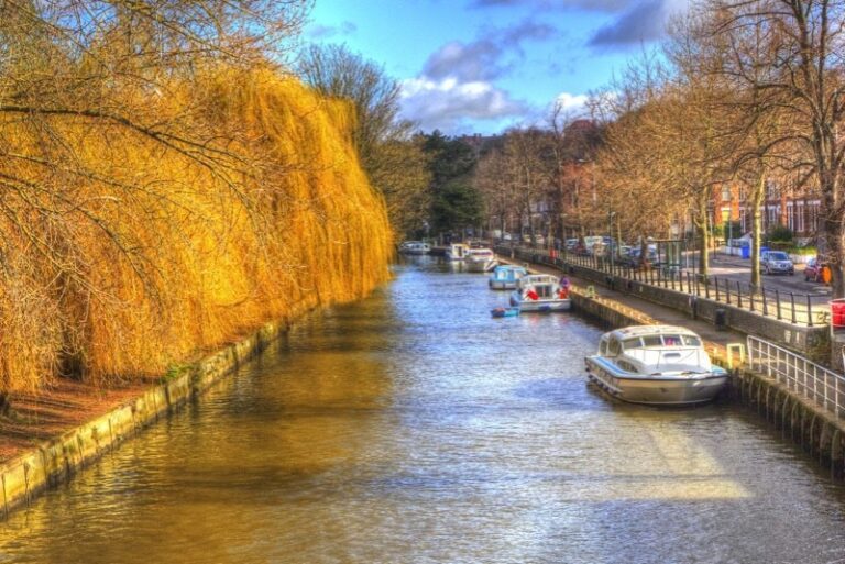 0 p1f6cehg3l1k2ehq311dise6142j4 768x513