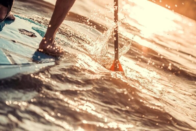 10 p1hlgo15151it11o331v3jefq19c5 768x513