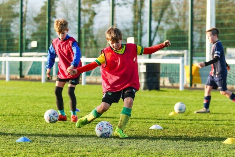 11 p1f0er6hd11lk6jh1hs4rd77bng 768x512