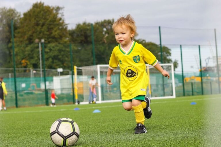 14 p1hlth203l18td1j961d1e2efbh04 768x512