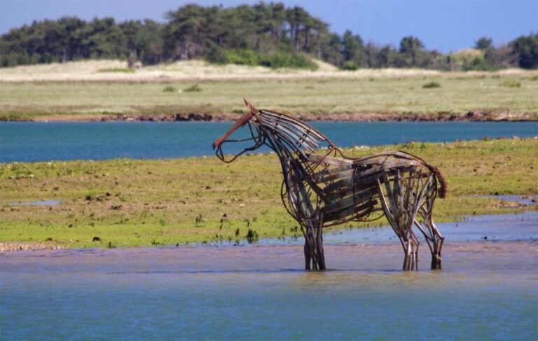 14 p1hm069de7o4j10th1eos9c22pe6 768x487