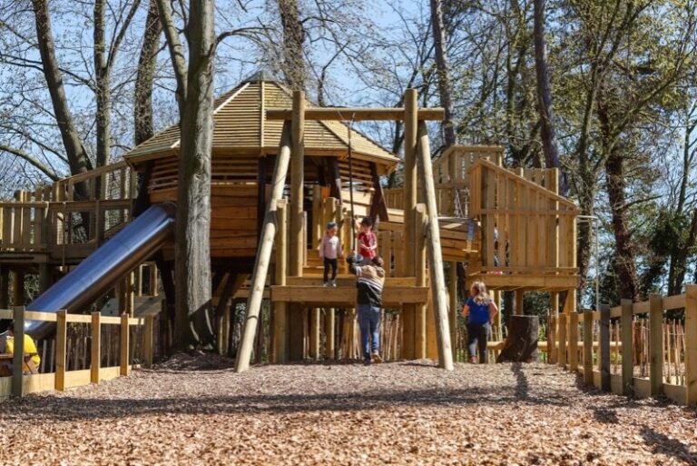 15 p1hlth3em2mpt1pet13nfgo21fs05 768x513