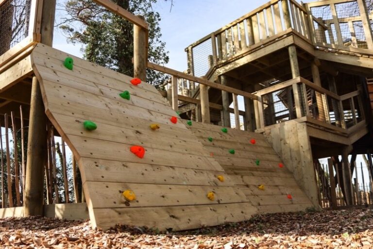 17 p1hlth3uli8berrp1g2ostc19u17 768x513