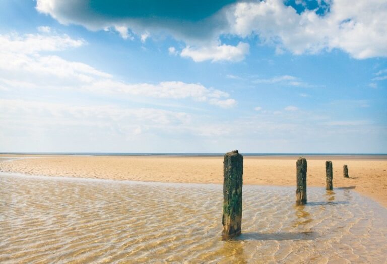 19 p1hlgo1kt0cku1pva16k715r91p93e 768x524