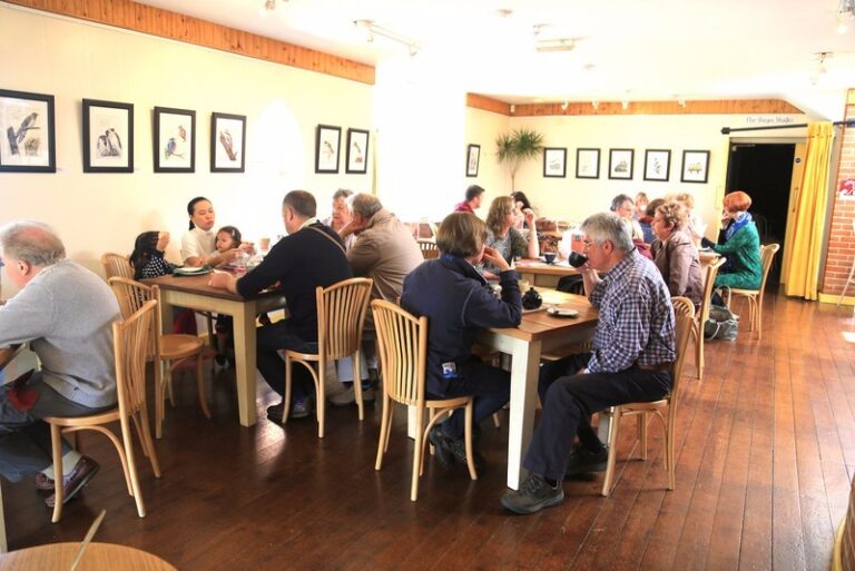 1 p19pnkktkn8nbnm81efo68h17jn5 768x513