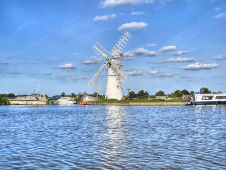 1 p1gnlcfc171f1ub3dv2v1bol1b3u5 768x576