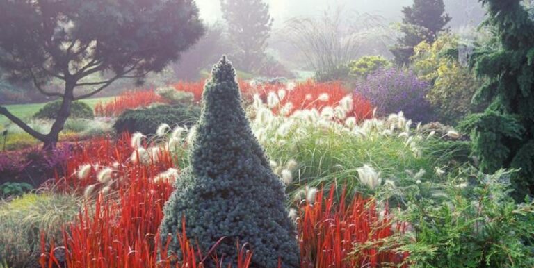 4 p19iq2qcf9q08h46u511rg7164u8 768x386