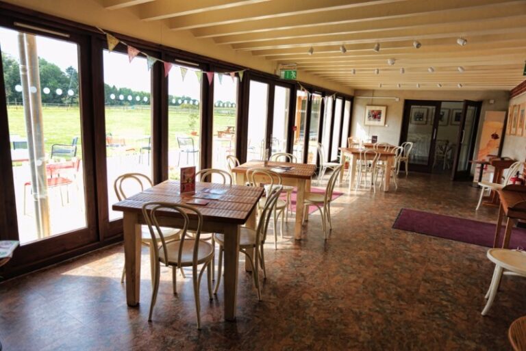 4 p19pnkmof01dff2sqihq1h0shn18 768x513