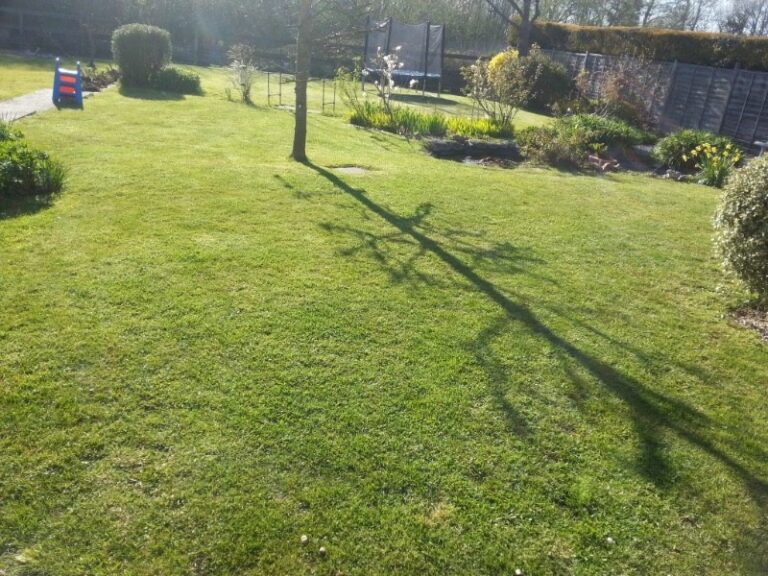 4 p1hm0842bn1ut01ammc3h1h3v1vge5 768x576