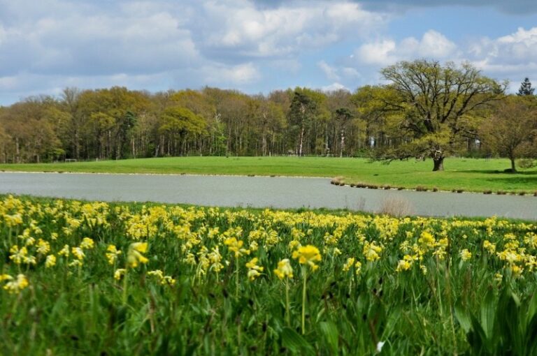 5 p1gnfutt951i4v14ap1or2v2bpqu4 768x510