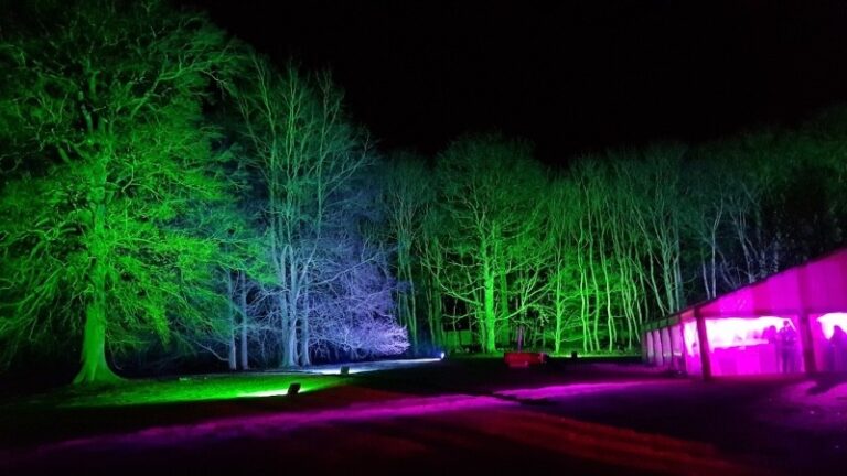 5 p1hlthf7nk14nu1i6r1svf1rn9143j4 768x432