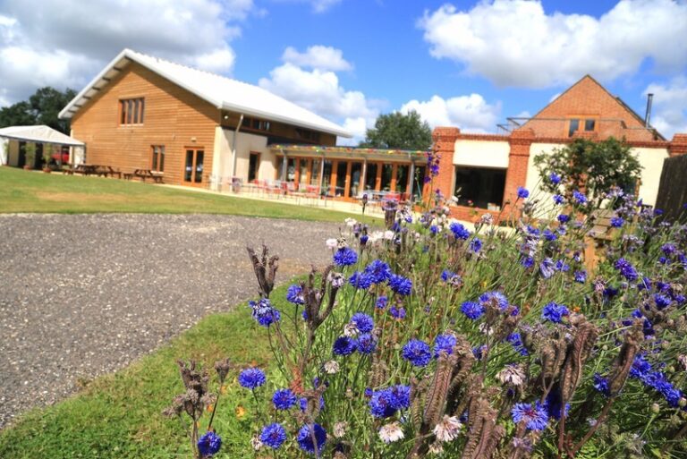 6 p19pnle59t1d8d1oca1loq3d6v414 768x513